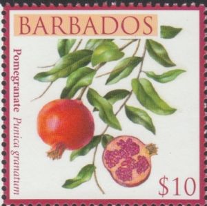 Barbados SG1374 $10 Pomegranate