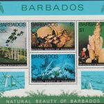 Barbados MS581