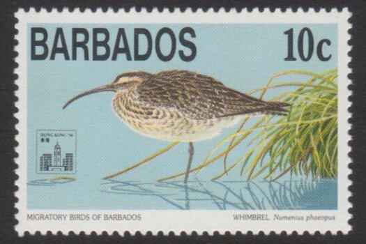 Barbados SG1018