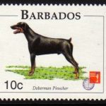 Barbados SG1101