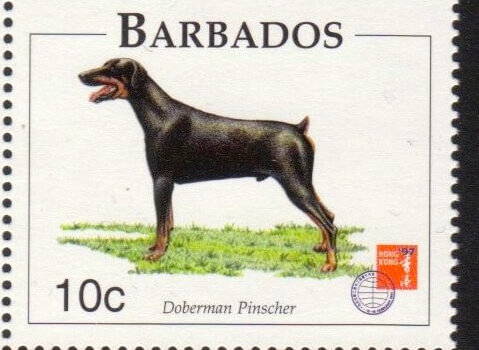 Barbados SG1101