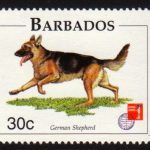 Barbados SG1102