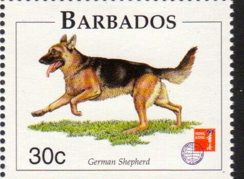 Barbados SG1102