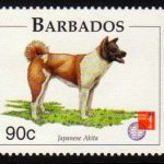 Barbados SG1103