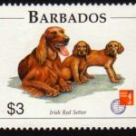 Barbados SG1104