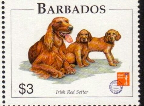 Barbados SG1104