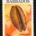 Barbados SG1107