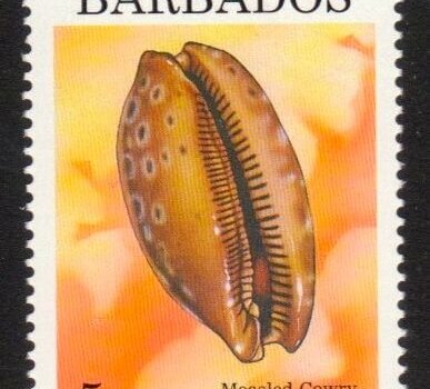 Barbados SG1107