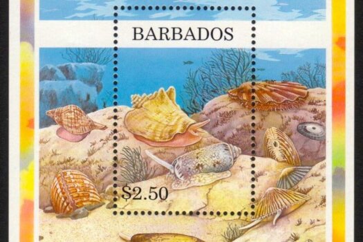 Barbados SGMS1111