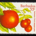 Barbados SG1116