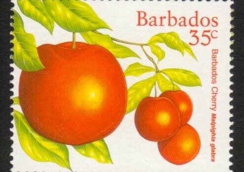 Barbados SG1116