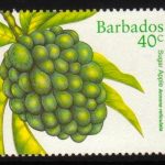 Barbados SG1117