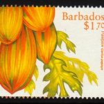 Barbados SG1119