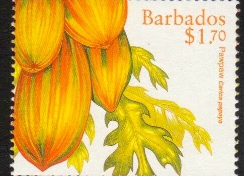 Barbados SG1119