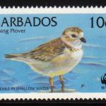 Barbados SG1134