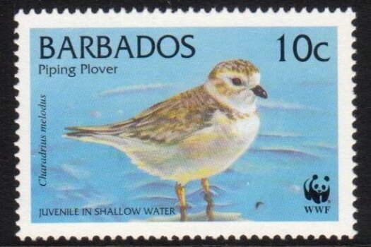 Barbados SG1134