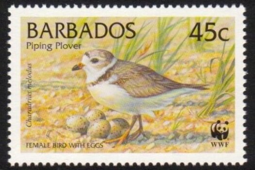 Barbados SG1135