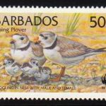 Barbados SG1136