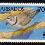 Barbados SG1137