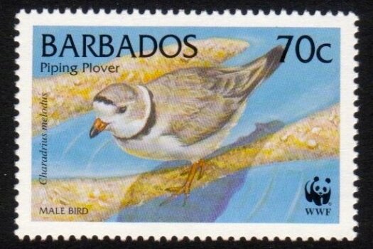 Barbados SG1137