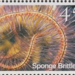 Barbados SG1184