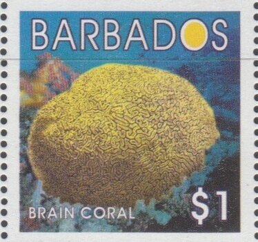 Barbados SG1255