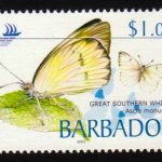 Barbados SG1262