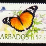 Barbados SG1264