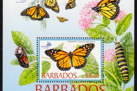 Barbados SGMS1265