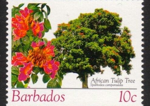 Barbados SG1267