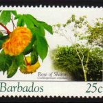 Barbados SG1268