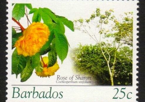 Barbados SG1268