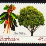 Barbados SG1269