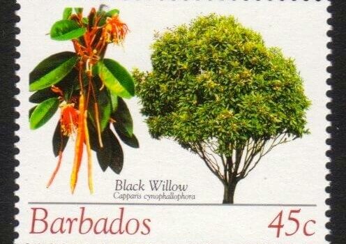 Barbados SG1269