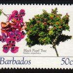 Barbados SG1270