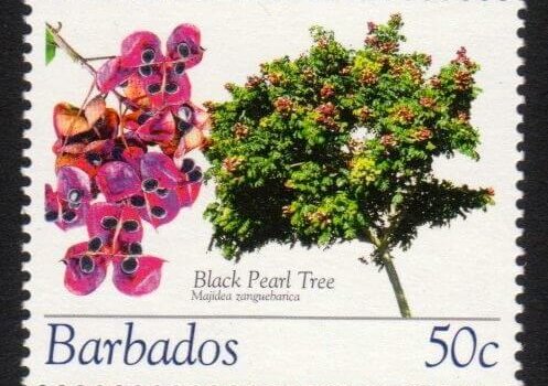 Barbados SG1270