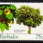 Barbados SG1271