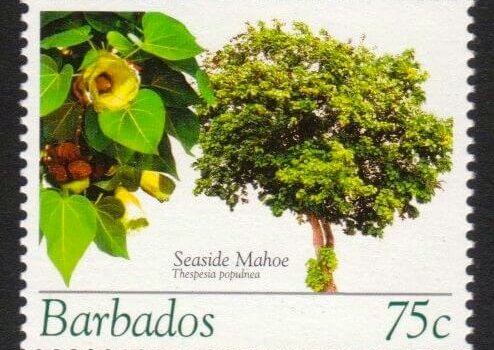 Barbados SG1271