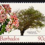 Barbados SG1272