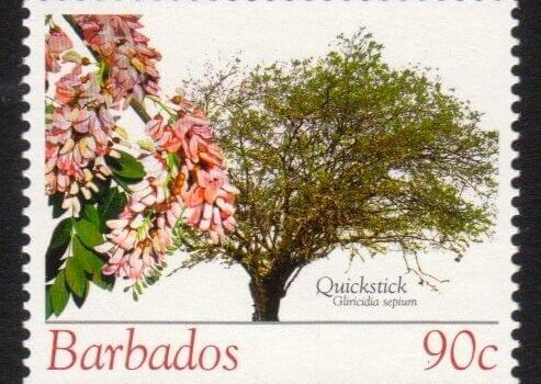 Barbados SG1272