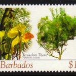 Barbados SG1273