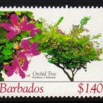 Barbados SG1275