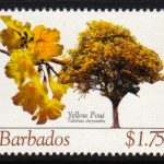 Barbados SG1276