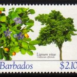 Barbados SG1277