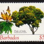 Barbados SG1279