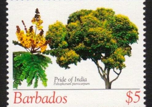 Barbados SG1279