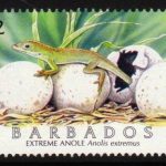 Barbados SG1289