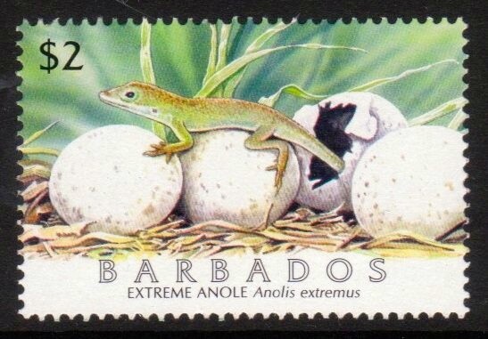 Barbados SG1289