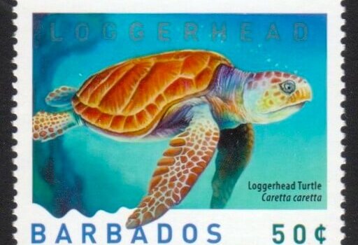 Barbados SG1319