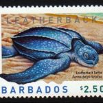 Barbados SG1322